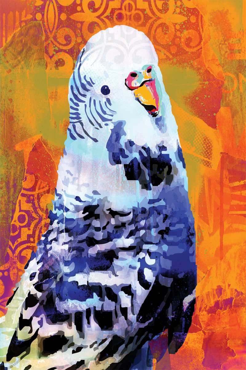 Tea Towel - Budgie Orange