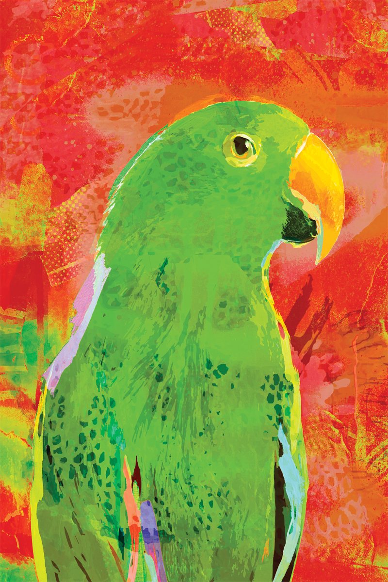 Tea Towel - Eclectus Orange