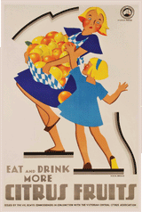 Tea Towel - Citrus Fruits