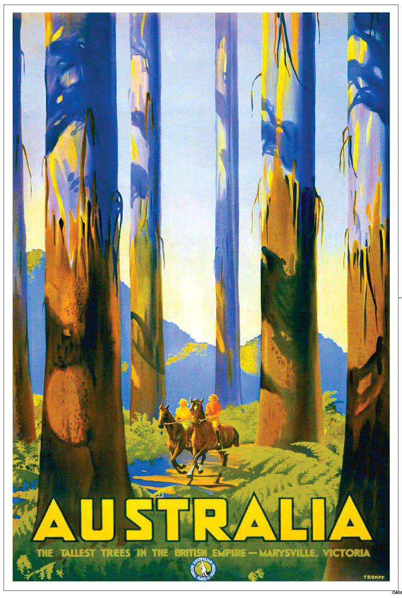 TEA TOWEL - FOREST RIDE