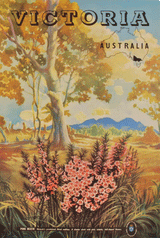 Tea Towel - Vintage Victoria