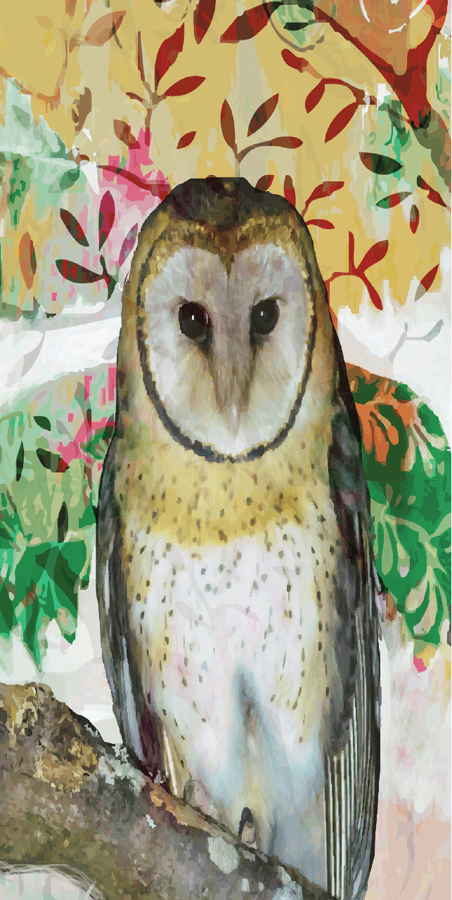 Barn Owl Beach Towel