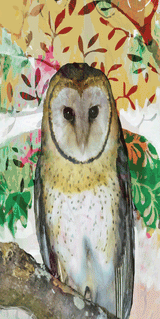 Beach Towel - Barn Owl