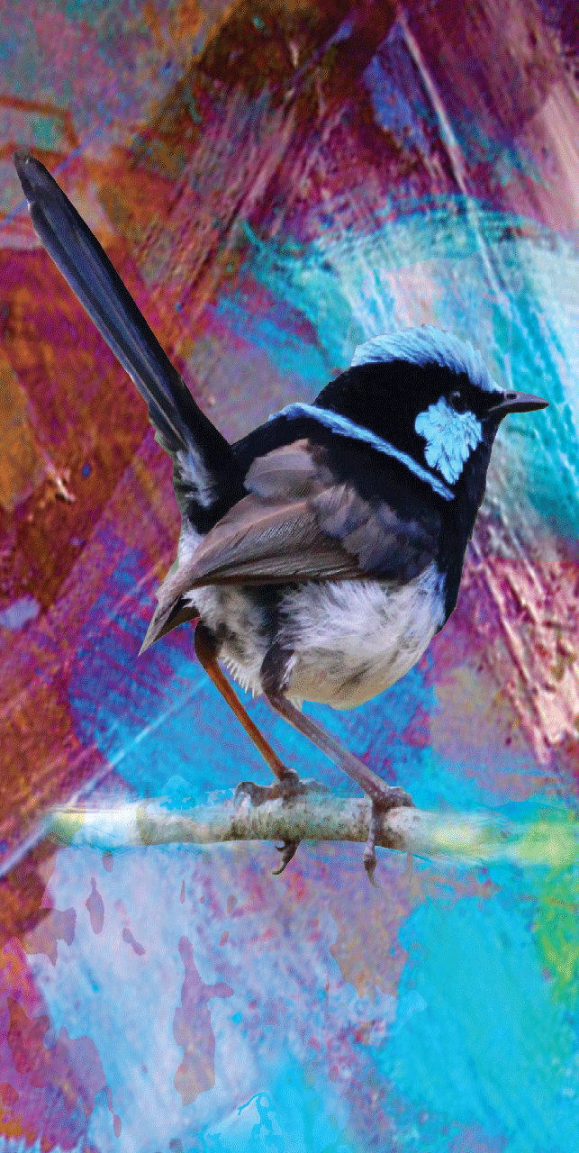 Beach Towel - Blue Wren