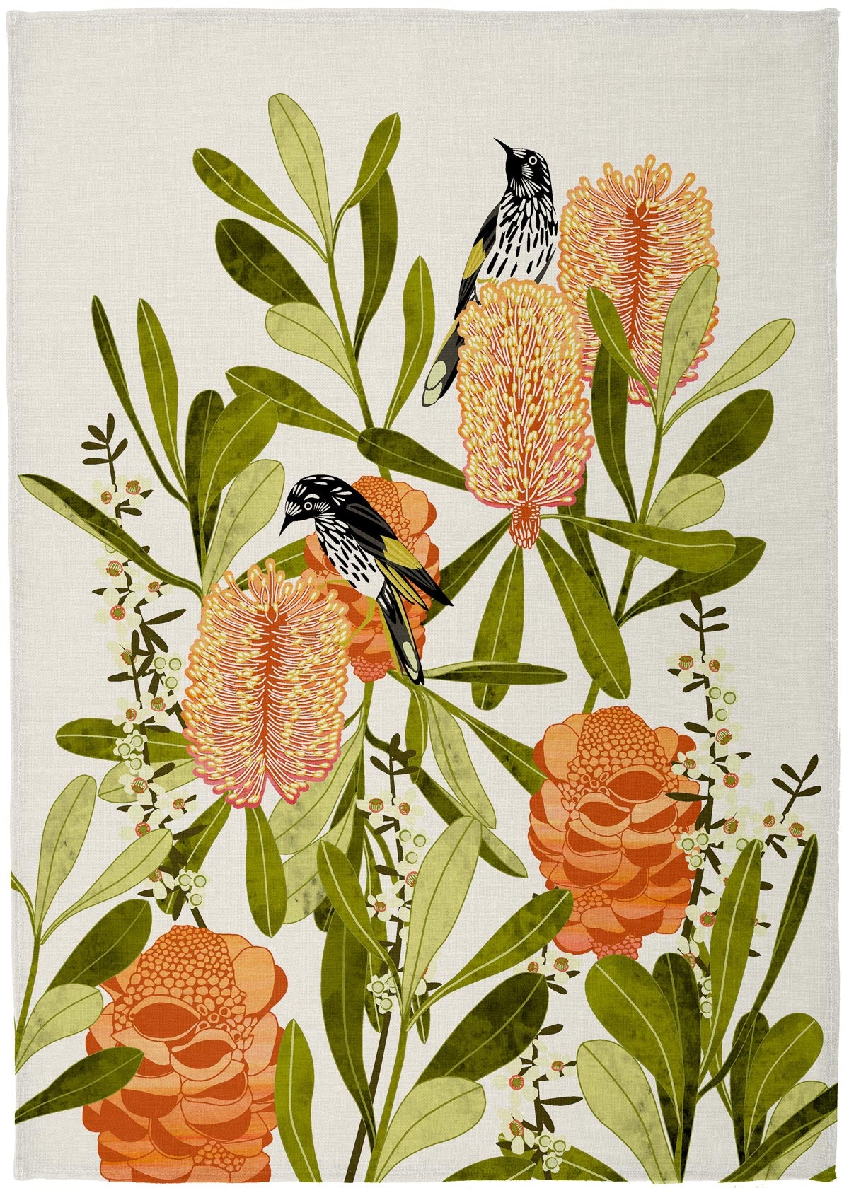 Banksia with Honey Eaters White Background Tea Towel