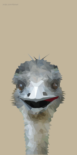 Beach Towel - Emu