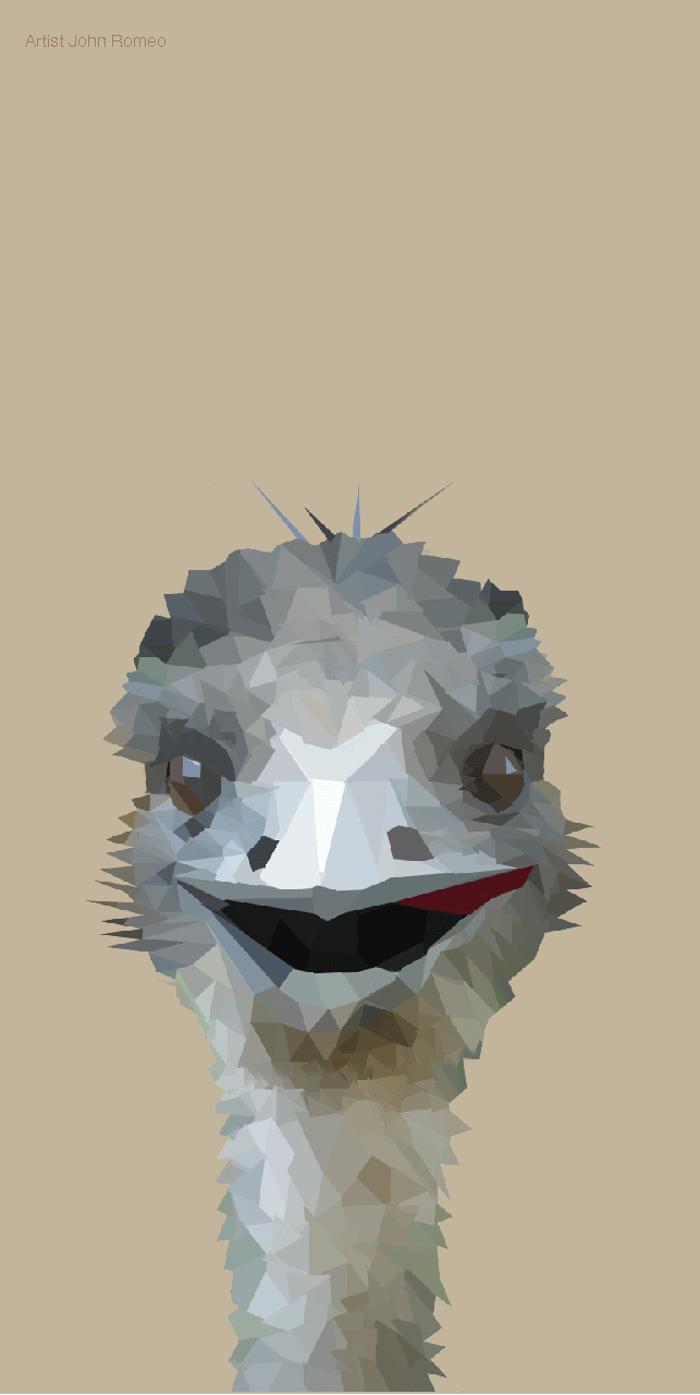 Beach Towel - Emu