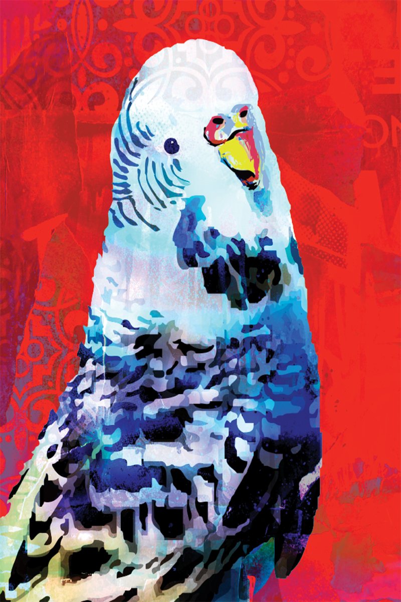 TEA TOWEL - BUDGIE RED