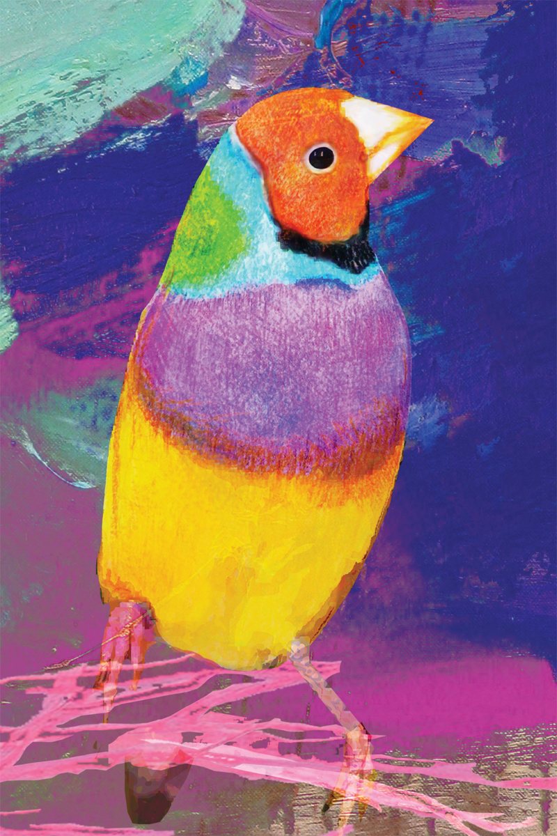 Tea Towel - Gouldian Finch