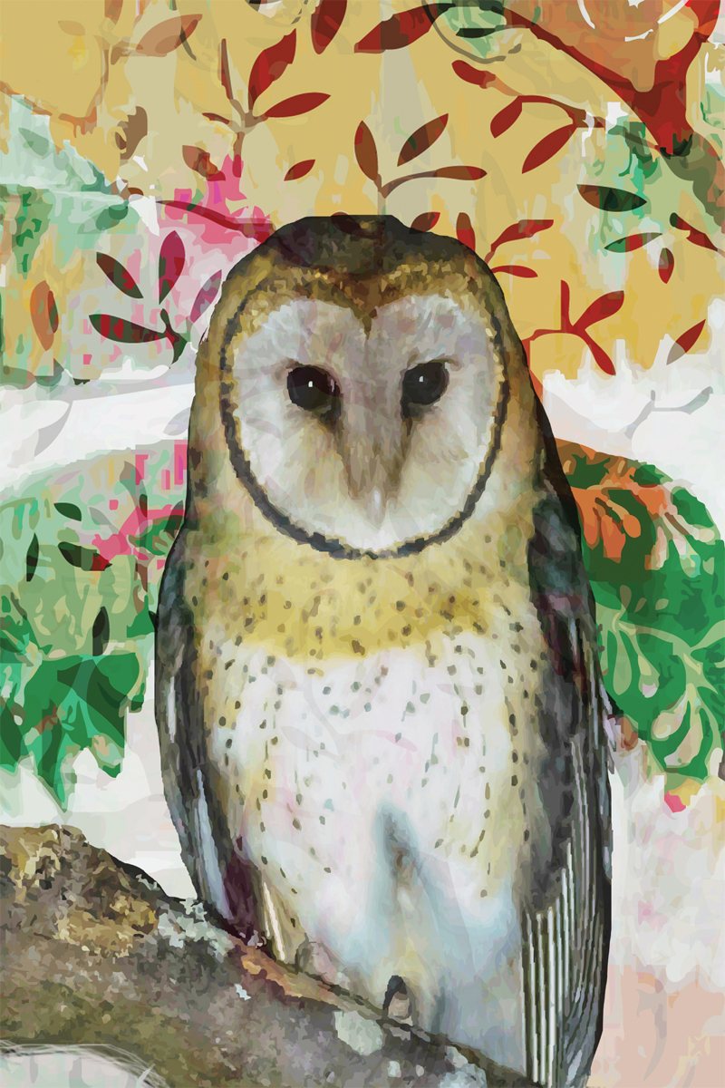 TEA TOWEL - BARN OWL