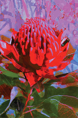 Tea Towel - Waratah