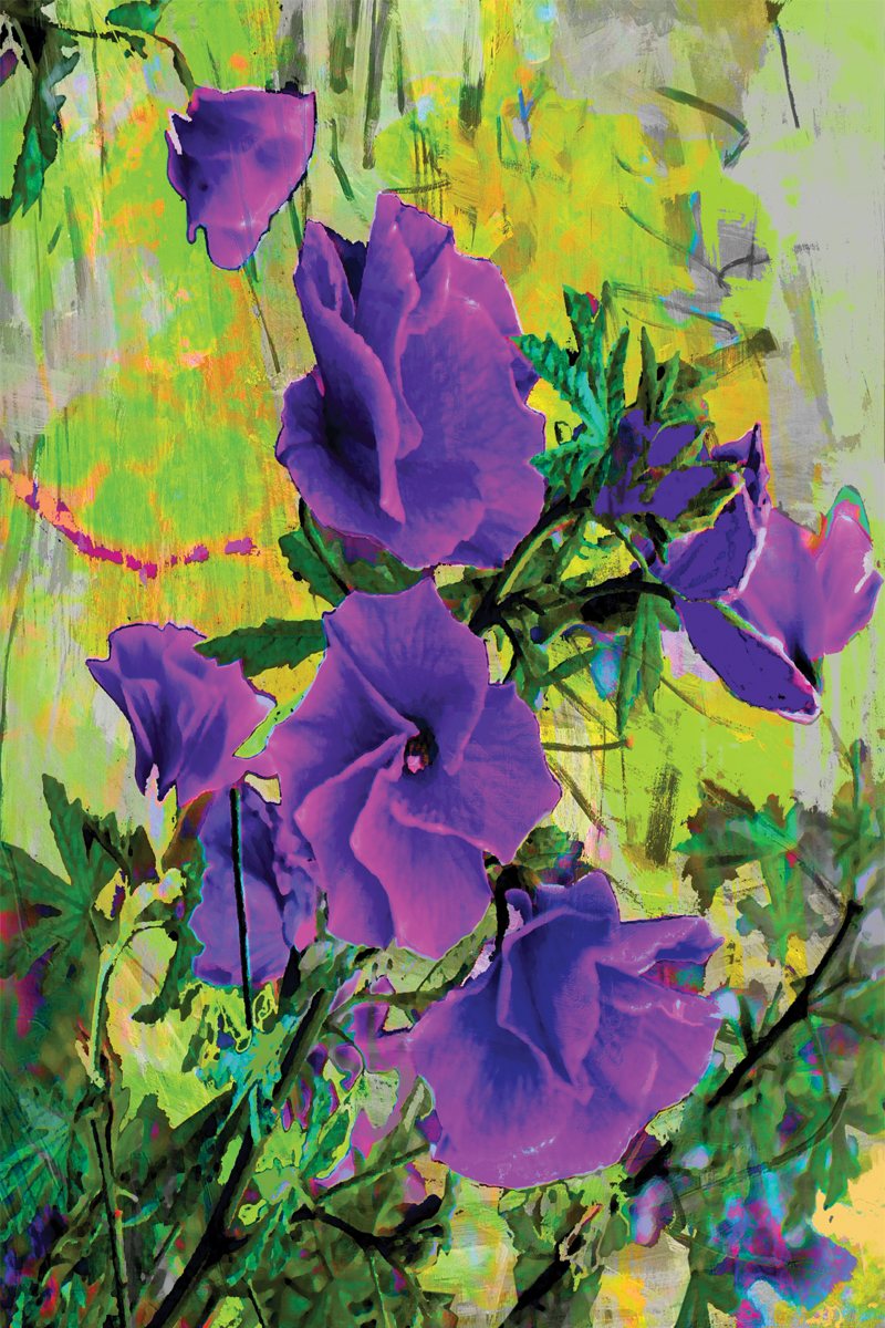 Tea Towel - West Coast Gem 2