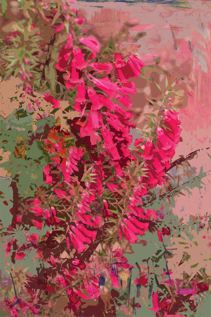 TEA TOWEL PINK HEATH 1