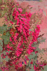 Tea Towel - Pink Heath 1