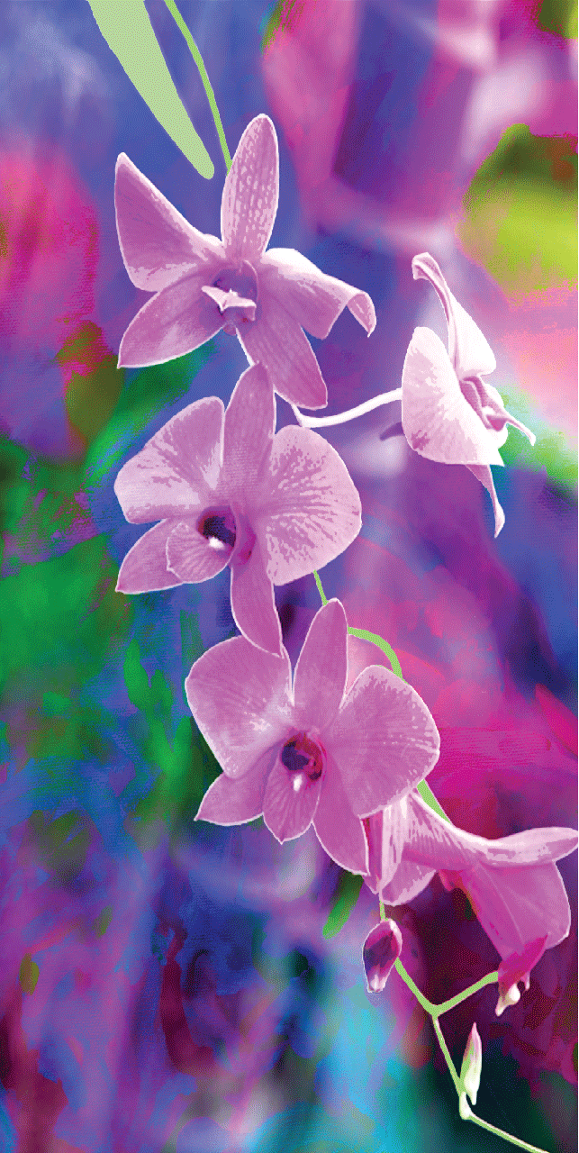 Beach Towel - Cooktown Orchid