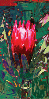 Beach Towel - Red Protea