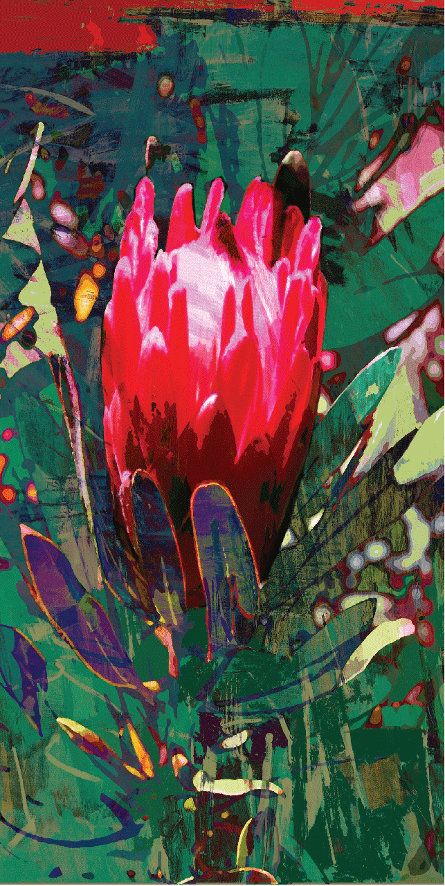 Red Protea Beach Towel