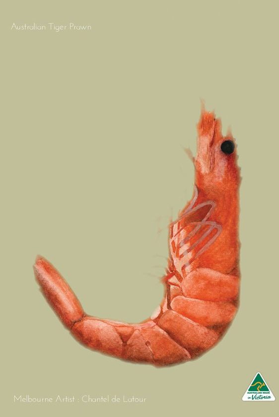 TEA TOWEL PRAWN BEIGE GREEN