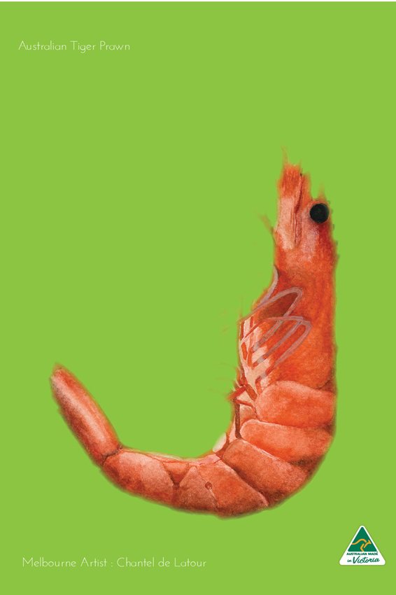 TEA TOWEL PRAWN FLURO GREEN
