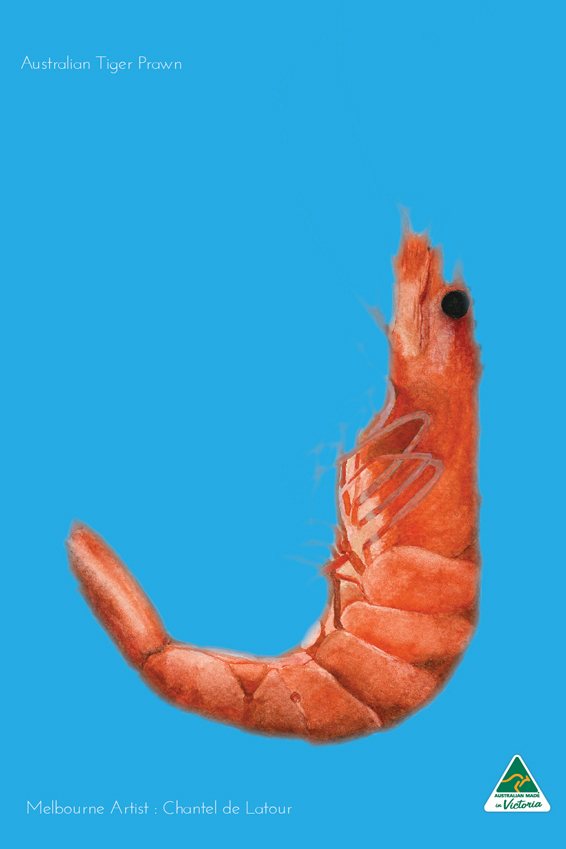 TEA TOWEL PRAWN CYAN