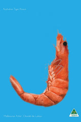 Tea Towel - Prawn Cyan