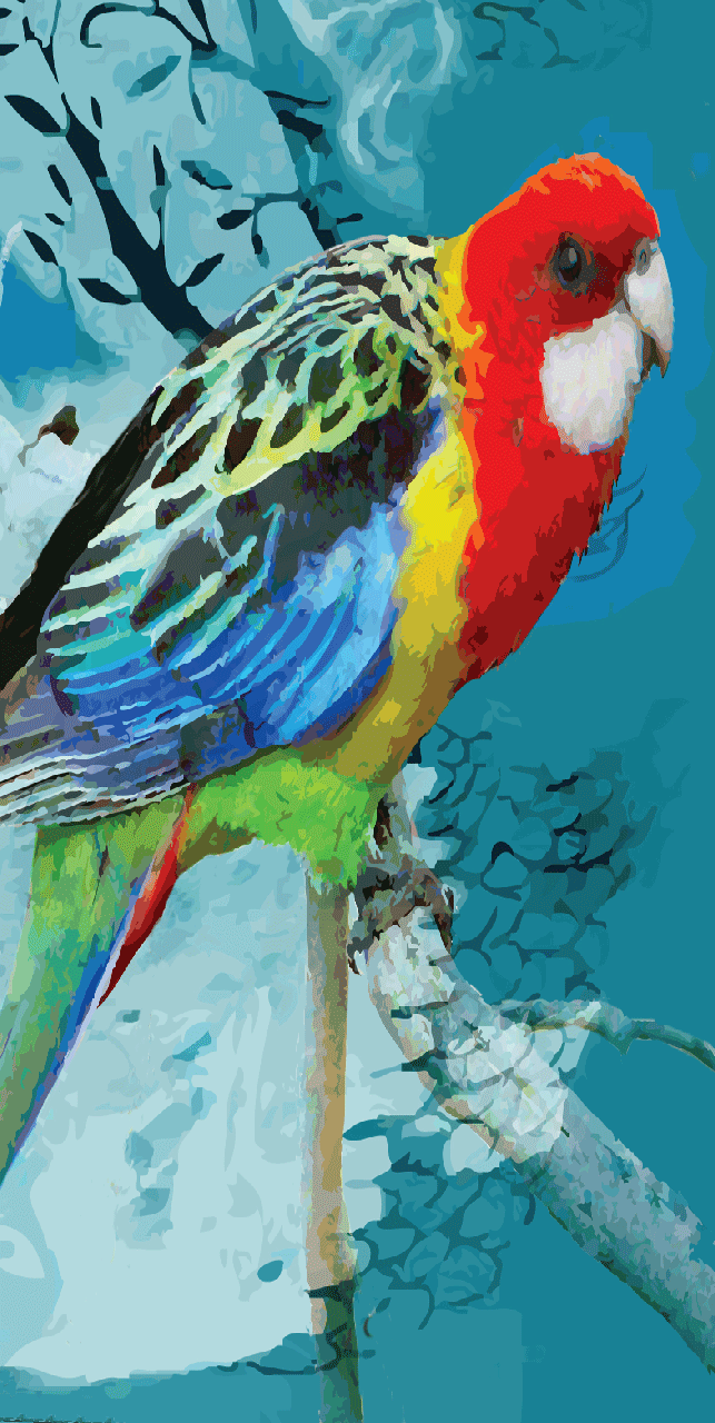 Beach Towel - Rosella