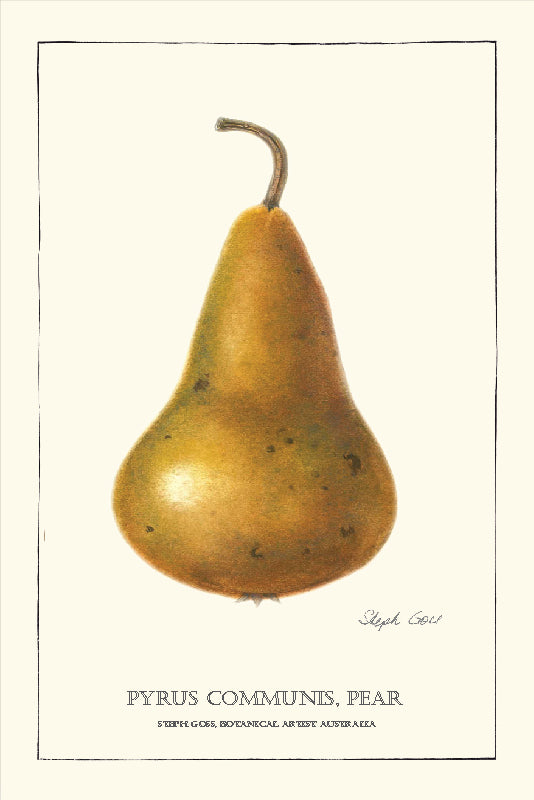 TEA TOWEL - PEAR