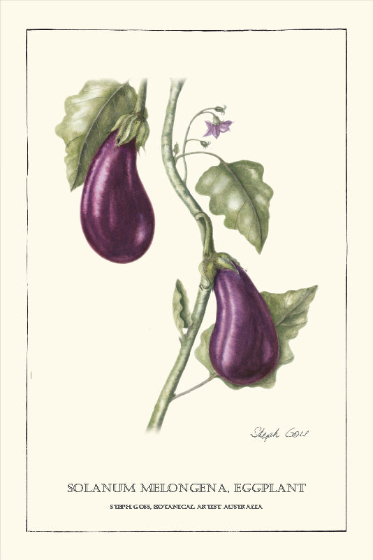 TEA TOWEL - EGGPLANT