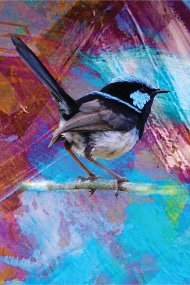 TEA TOWEL - BLUE WREN