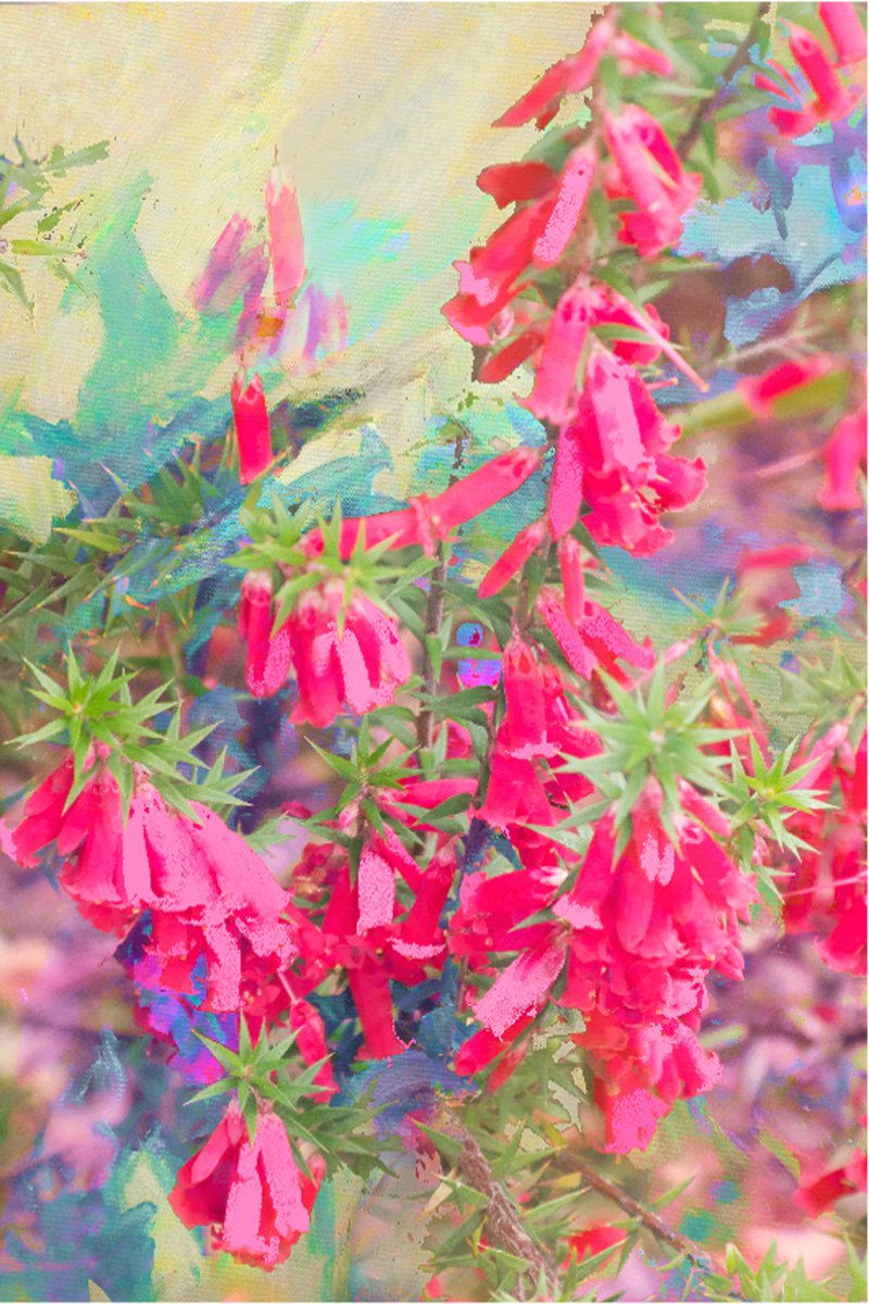 TEA TOWEL PINK HEATH 2