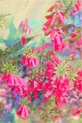 Tea Towel - Pink Heath 2