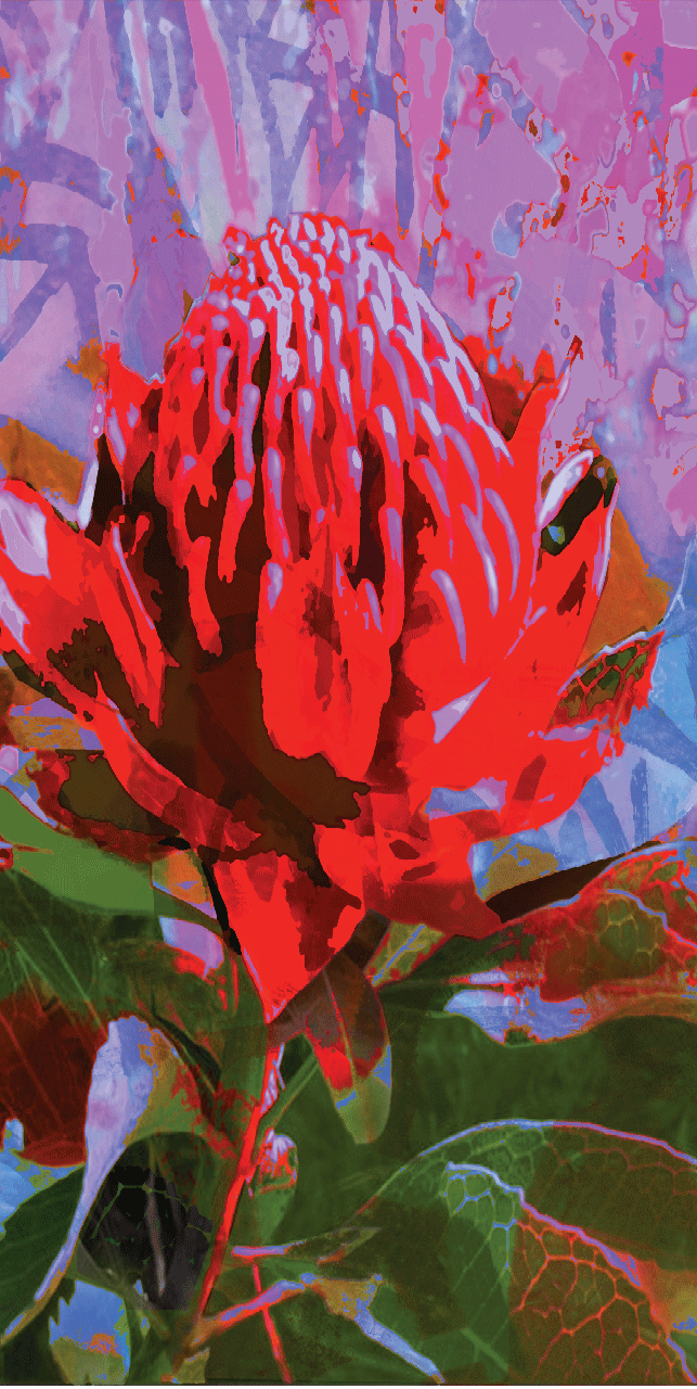 Waratah Beach Towel