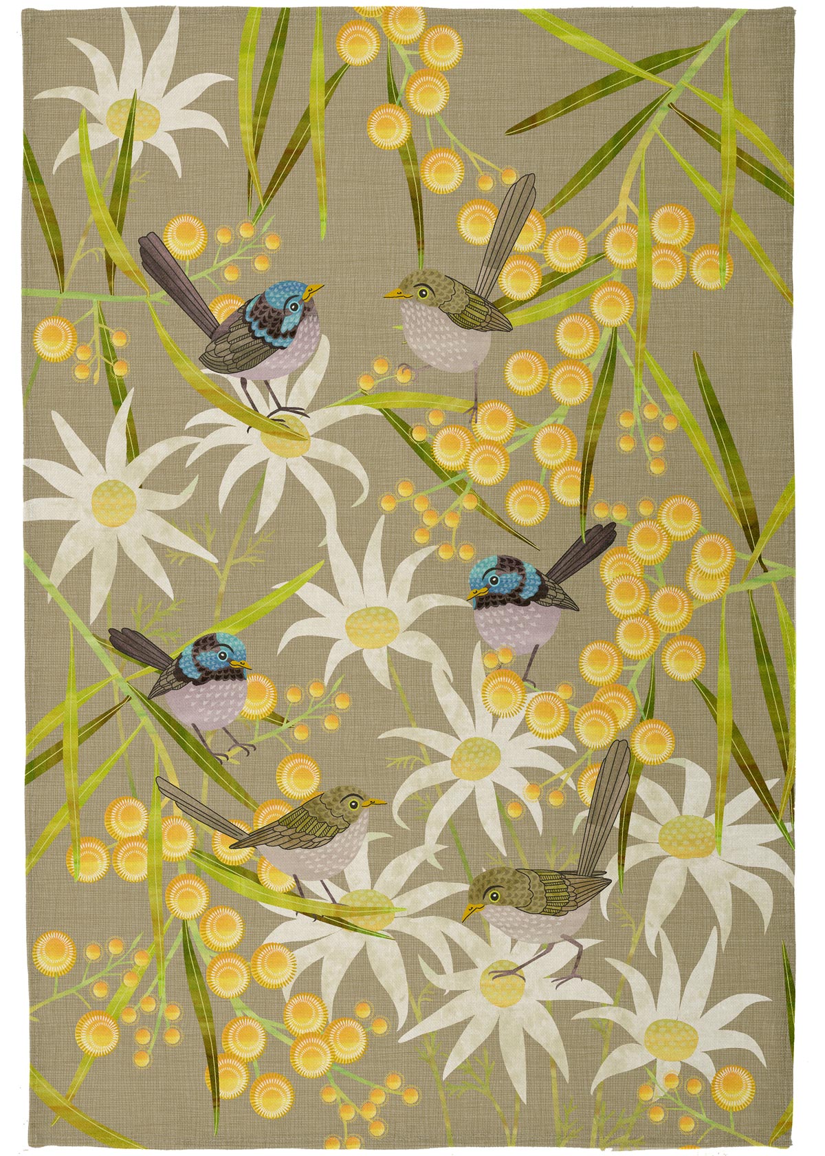 Wrens with Flowering Wattle Tea Towel