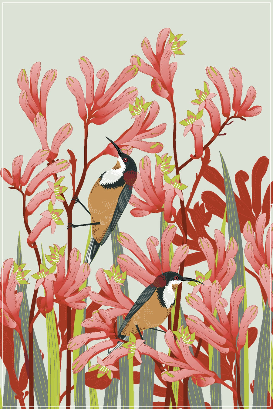 Tea Towel - Kangaroo Paw by Print Sisters
