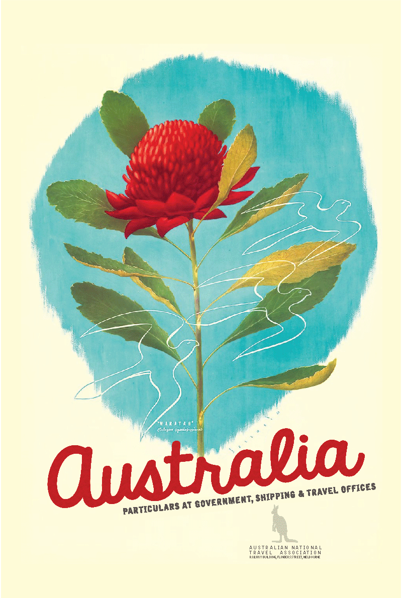 TEA TOWEL - VINTAGE WARATAH