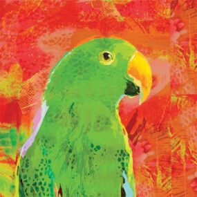 CUSHION-Orange-Eclectus CUSHION-Orange-Eclectus