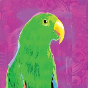 CUSHION-Purple-Eclectus CUSHION-Purple-Eclectus