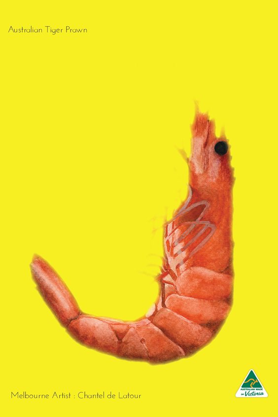 Prawn