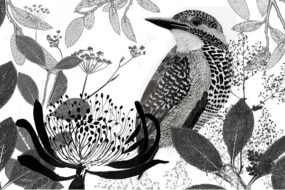 PLACEMAT SET KINGFISHER